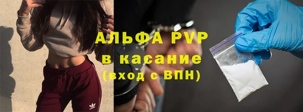 гидра Белокуриха