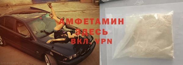 гидра Белокуриха