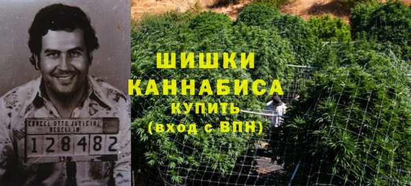 гидра Белокуриха