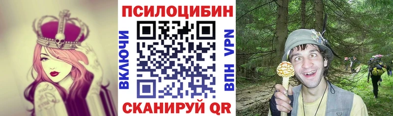 Псилоцибиновые грибы Psilocybe  Велиж 